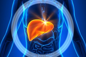 leberwert-ggt leberwert-ggt